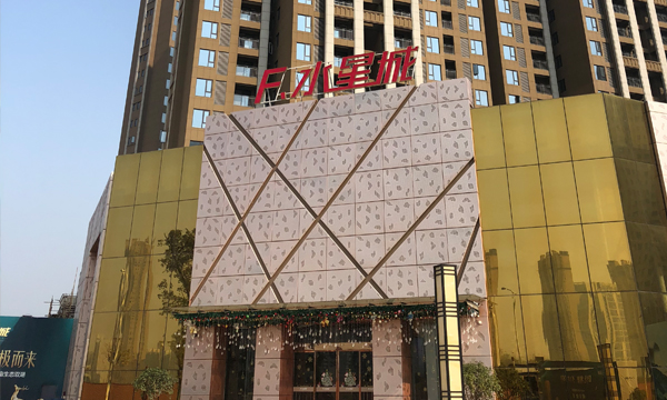 F水星城项目案例